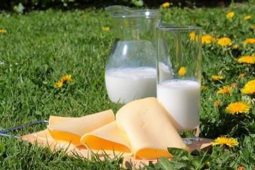 TOP 8 głównych mitów na temat mleka