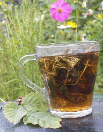 Przeciwgorączkowe herbata ziołowa maliny