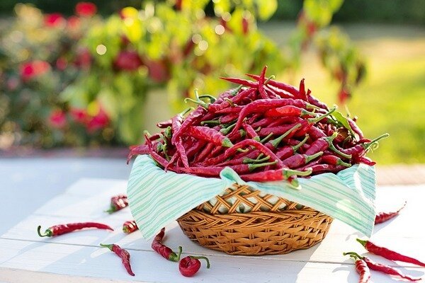 Naukowcy odkryli - papryczki chili przedłużają życie (Zdjęcie: Pixabay.com)