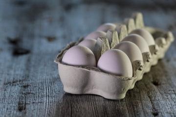 Naukowcy powiedzieli, dlaczego nie powinno się jeść dużo jajek