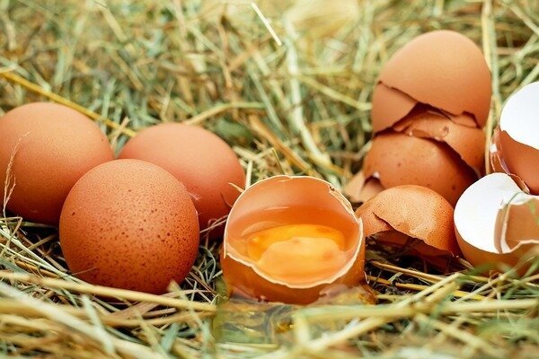 Jajka nie powinny być spożywane na świeżo, ponieważ grozi to pojawieniem się pasożytów w organizmie. (Fot. Pixabay.com)