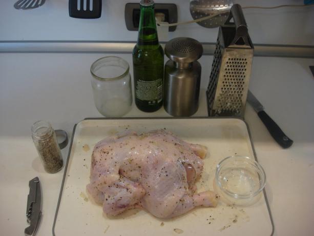 Zdjęcie zrobione przez autora (kurczak przetarł z solą, pieprzem i czosnkiem)
