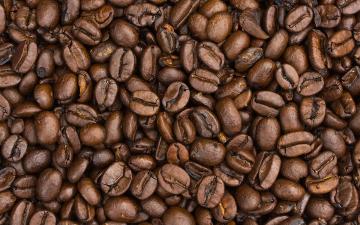 TOP 4 najdziwniejsze rodzaje kawy - czy o nich wiedziałeś?