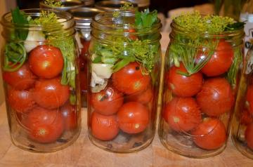 Marynowane pomidory „Zadonsk” na zimę