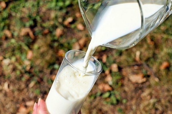 Ale jeśli po szklance mleka poczujesz nieprzyjemne doznania w żołądku lub jelitach, lepiej odmówić tego na rzecz sfermentowanych produktów mlecznych (Zdjęcie: Pixabay.com)