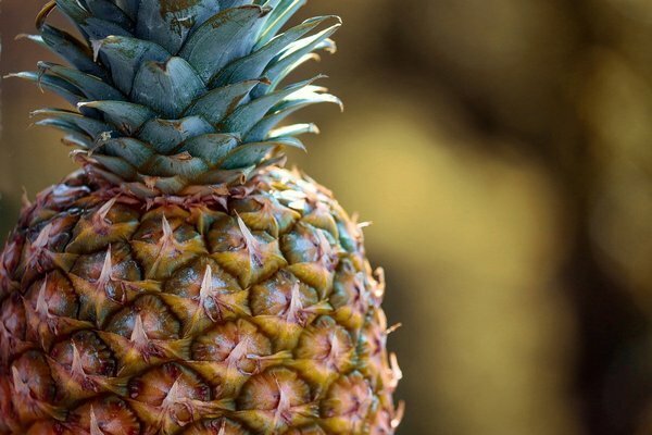 Zjedz kilka plasterków ananasa, a waga się rozpuści. (Fot. Pixabay.com)