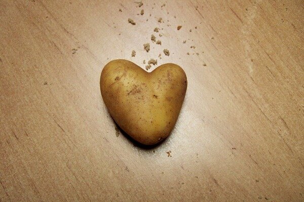 Ziemniaki mogą pomóc w chorobach serca (zdjęcie: Pixabay.com)
