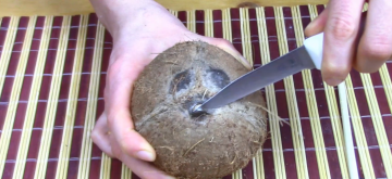 Jak łatwo jest otworzyć kokos w domu. I jak wybrać dobrego kokosa.