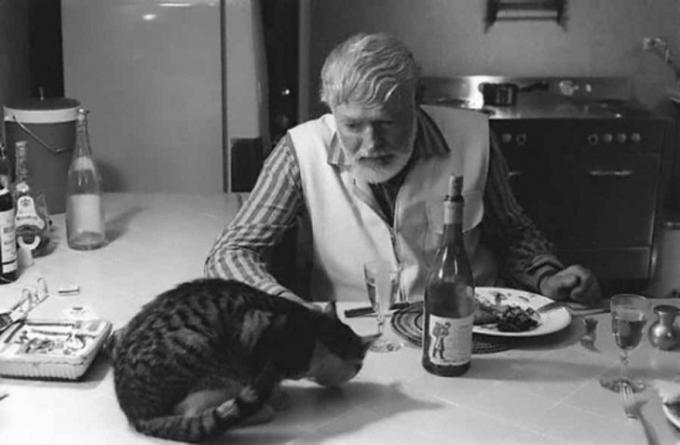 Ernest Hemingway ma obiad z kotem.