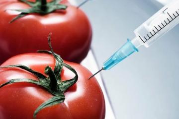 10 produktów GMO, które jemy i nawet nie wiemy